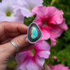 7.25 Royston Turquoise Sterling Silver Statement Ring (Size 7.25)