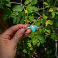 Campitos Turquoise Sterling Silver Cuff