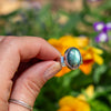 9 Labradorite Wide Band Sterling Silver Ring (Size 9)