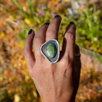 7 Royston Turquoise Sterling Silver Statement Ring (Size 7)