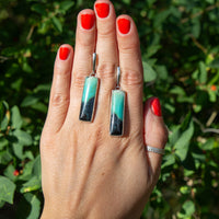 Opalized Petrified Wood Sterling Silver Earrings