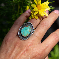 6 Royston Turquoise Sterling Silver Statement Ring (Size 6)