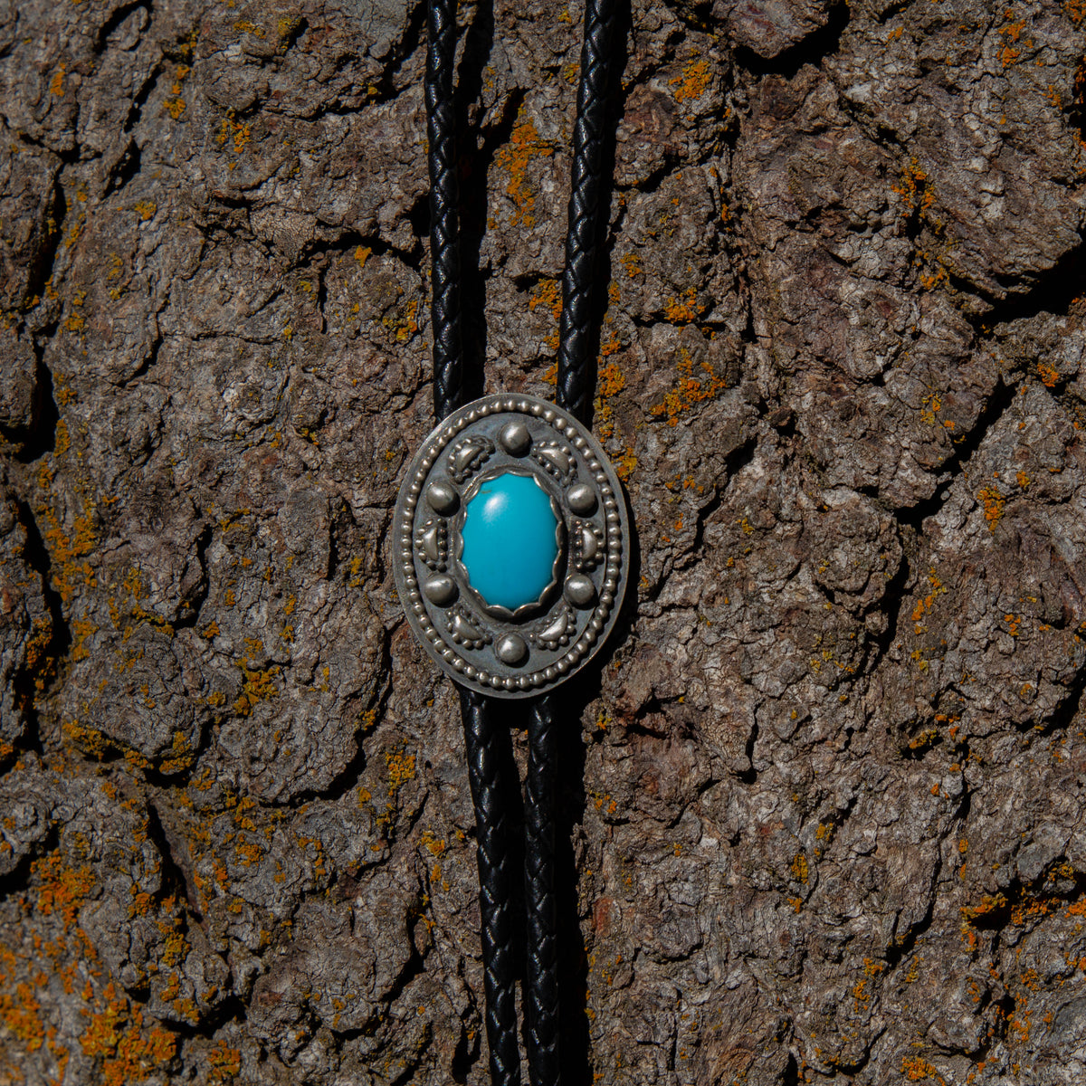 42" Campitos Turquoise Sterling Silver Decorative Bolo