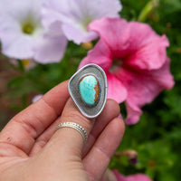 7.25 Royston Turquoise Sterling Silver Statement Ring (Size 7.25)