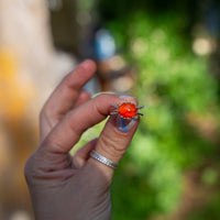 7.5 Carnelian Sterling Silver Ring (Size 7.5)