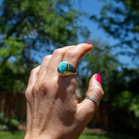 9 Royston Turquoise Sterling Silver Signet Ring (Size 9)