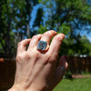 12 Kingman Turquoise Cactus Sterling Silver Signet Ring (Size 12)