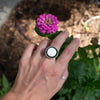 8.25 White Buffalo Sterling Silver Circle Ring (Size 8.25)