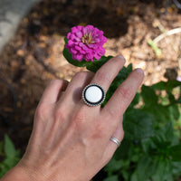 8.25 White Buffalo Sterling Silver Circle Ring (Size 8.25)