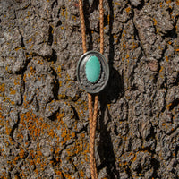 42" Carico Lake Turquoise Cactus Shadowbox Sterling Silver Bolo
