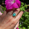 8.75 Campitos Turquoise Wide Band Sterling Silver (Size 8.75)