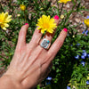 12 Kingman Turquoise Cactus Sterling Silver Signet Ring (Size 12)