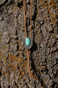 42" Carico Lake Turquoise Cactus Shadowbox Sterling Silver Bolo