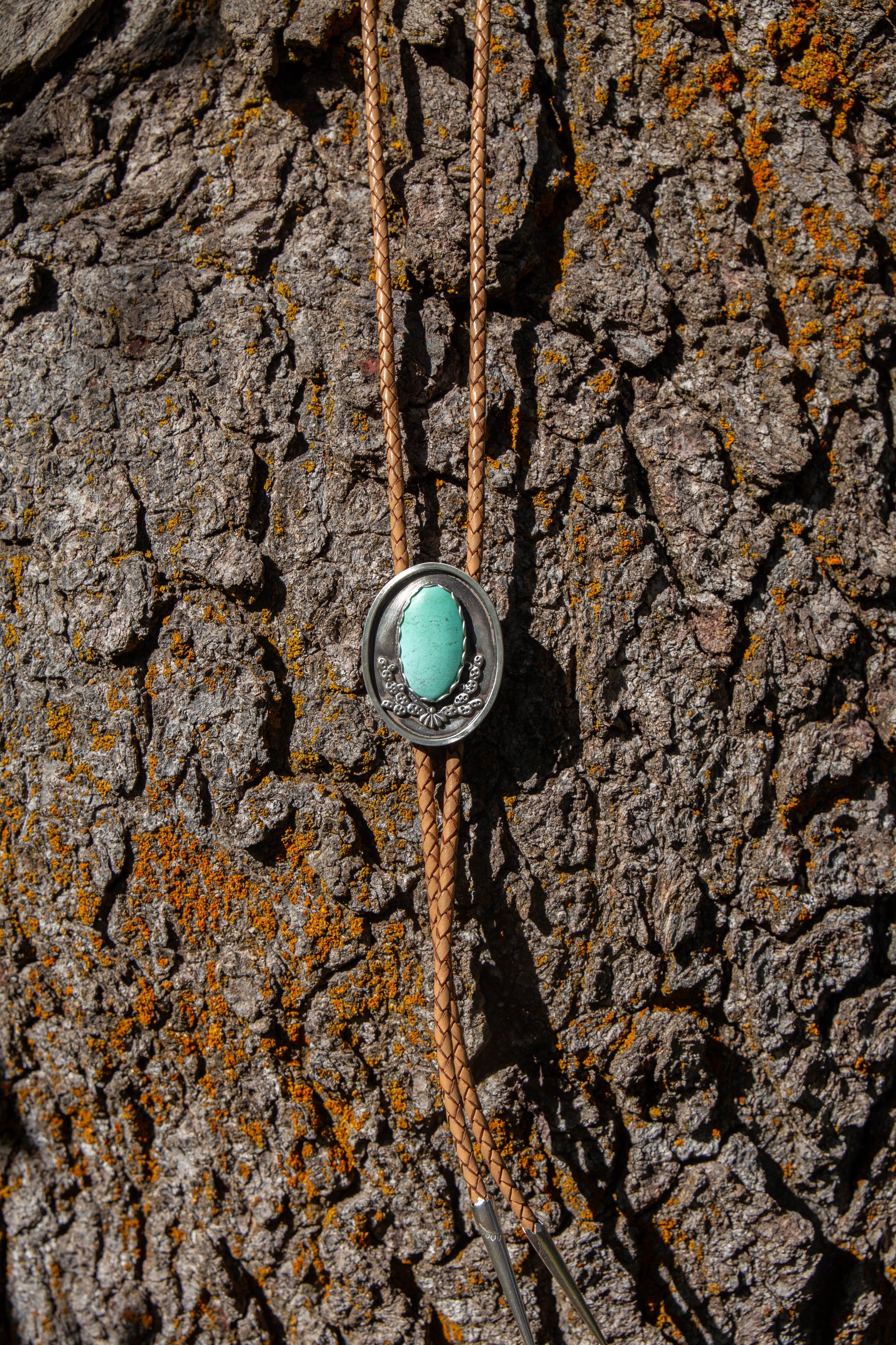 42" Carico Lake Turquoise Cactus Shadowbox Sterling Silver Bolo