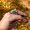 7 Royston Turquoise Sterling Silver Statement Ring (Size 7)