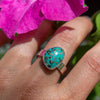 8.75 Campitos Turquoise Wide Band Sterling Silver (Size 8.75)