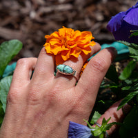 8 Variscite Oval Ring (Size 8)