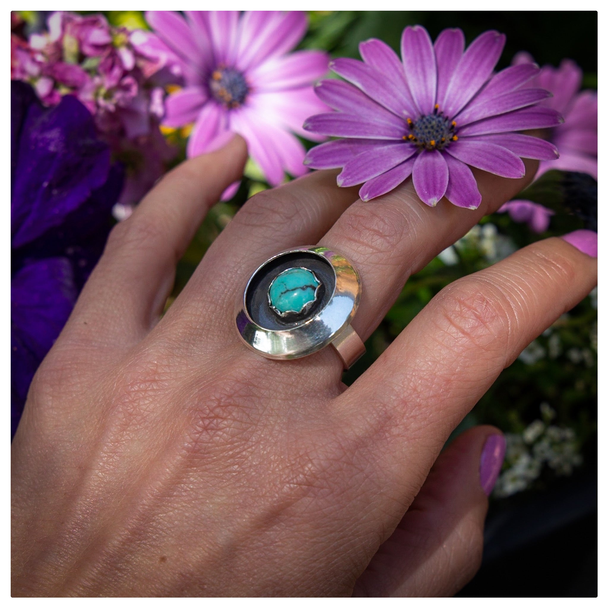 7 Campitos Turquoise Circle Shadowbox Sterling Silver Ring (Size 7)