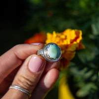 7.5 Turquoise Sterling Silver Ring (Size 7.5)