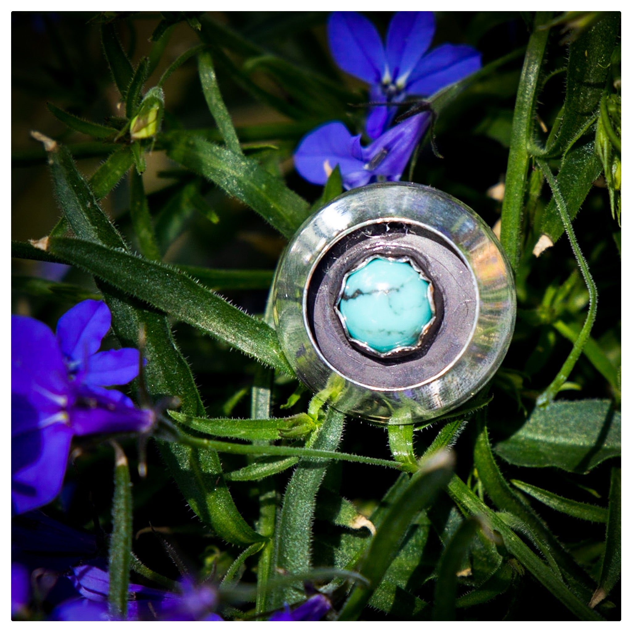 7 Campitos Turquoise Circle Shadowbox Sterling Silver Ring (Size 7)