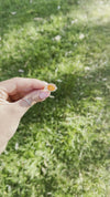 6.5 Carnelian Sterling Silver Ring (Size 6.5)